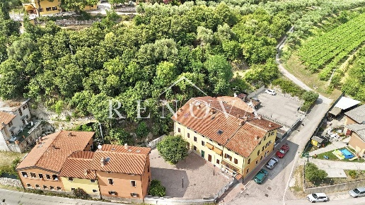 immagine annuncio 7 di 14