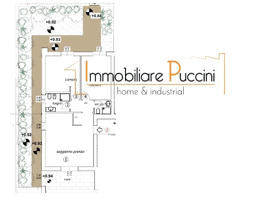 immagine annuncio 3 di 15
