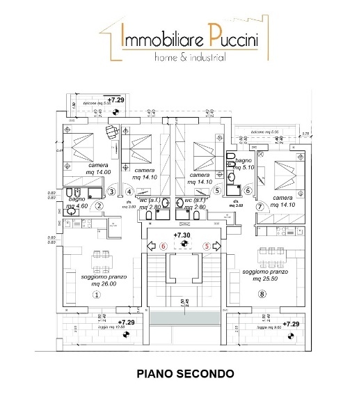 immagine annuncio 9 di 15