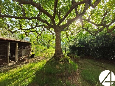 Foto Appartamento in Via Vallone 1000, Larciano di 456 m² con 12 locali
