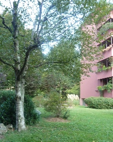 Foto Appartamento in Via Mozart, Monza di 165 m² con 4 locali in affitto