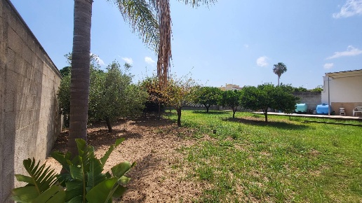 immagine annuncio 2 di 14