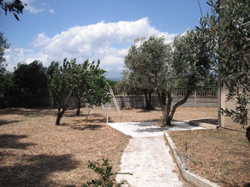 immagine annuncio 3 di 8