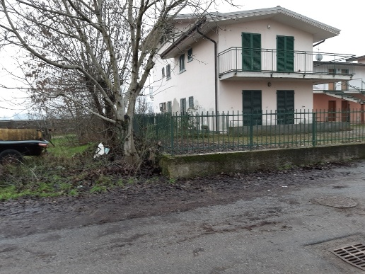 immagine annuncio 4 di 6