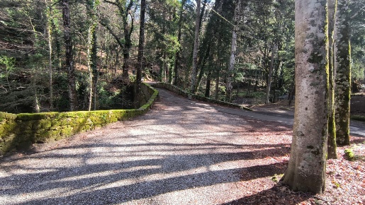 Foto Appartamento a Castiglione d'Orcia di 60 m² con 3 locali in vendita