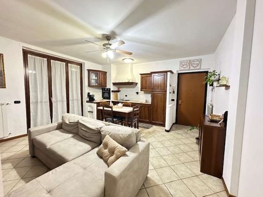 immagine annuncio 1 di 7