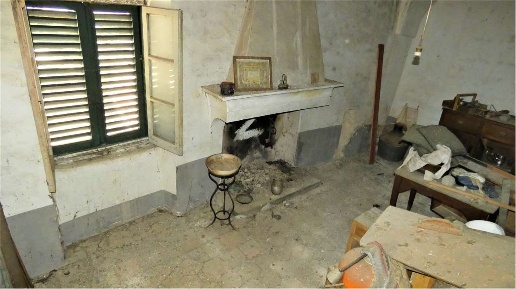 immagine annuncio 3 di 14