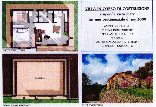 immagine annuncio 3 di 14