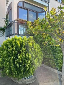 Foto Appartamento a Montescudaio di 46 m² con 2 locali in vendita