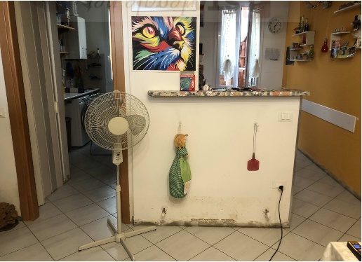 immagine annuncio 1 di 12