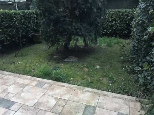 immagine annuncio 5 di 13