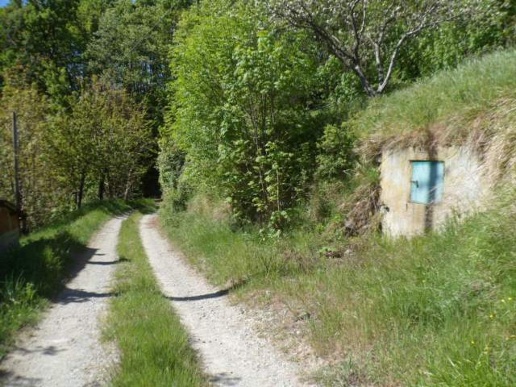 immagine annuncio 7 di 9