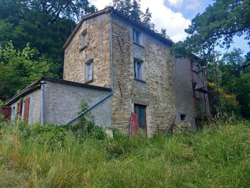 immagine annuncio 5 di 12