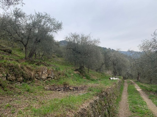 immagine annuncio 7 di 11