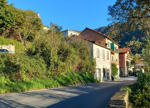 immagine annuncio 5 di 7