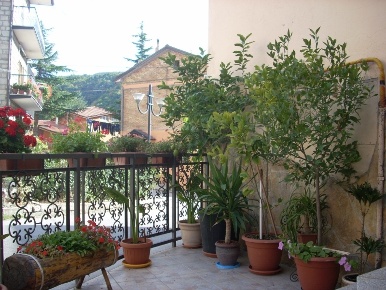 Foto Appartamento in strada comunale pergola, San Fele di 106 m² in vendita