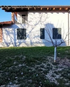 Foto Villa unifamiliare a Montegrosso d'Asti Montegrosso di 315 m²