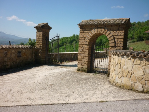 immagine annuncio 5 di 6
