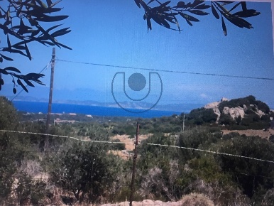 Foto Villa singola in Località Lu Capitano-Vignola Tamburu in vendita
