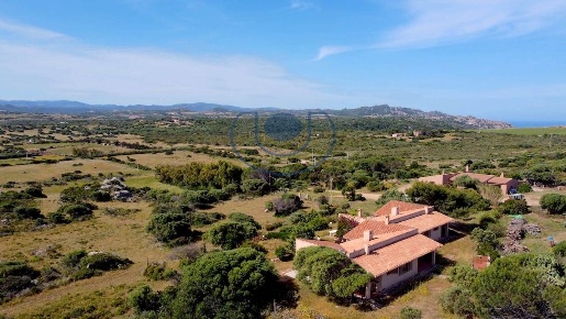 Foto Villa singola in Località Lu Capitano-Vignola Tamburu, Costa Paradiso