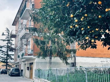 Foto Appartamento in Via REDIPUGLIA 0, Staffolo Centro di 70 m² in vendita