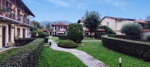 immagine annuncio 1 di 14