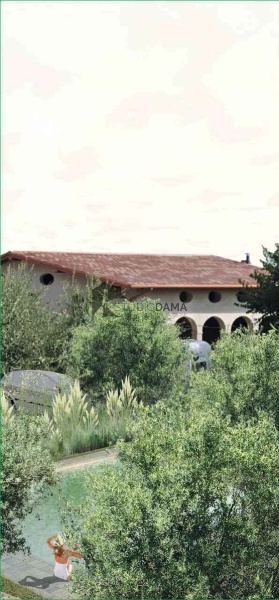 immagine annuncio 4 di 7