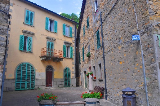 immagine annuncio 13 di 14