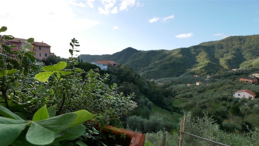 Foto Villa bifamiliare a Leivi Crocetta di 230 m² con 12 locali in vendita