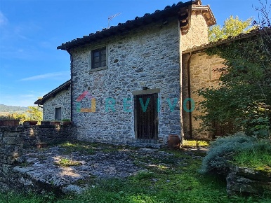 Foto Appartamento a Castel San Niccolò Strada di 300 m² con 11 locali