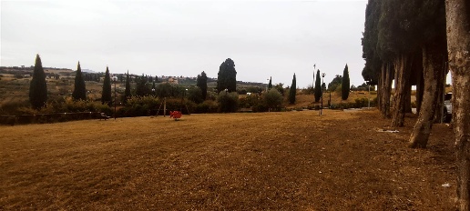 Foto Appartamento a San Quirico d'Orcia Centro di 100 m² con 6 locali