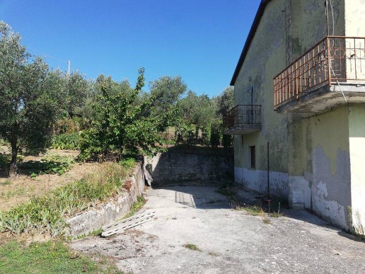 immagine annuncio 3 di 11