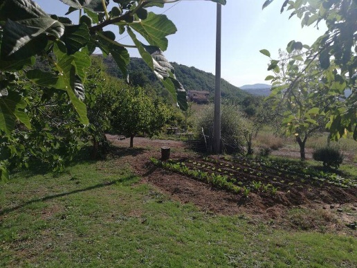 immagine annuncio 4 di 11