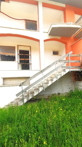 immagine annuncio 5 di 8