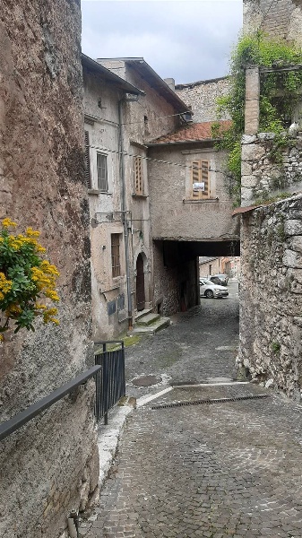 immagine annuncio 6 di 12