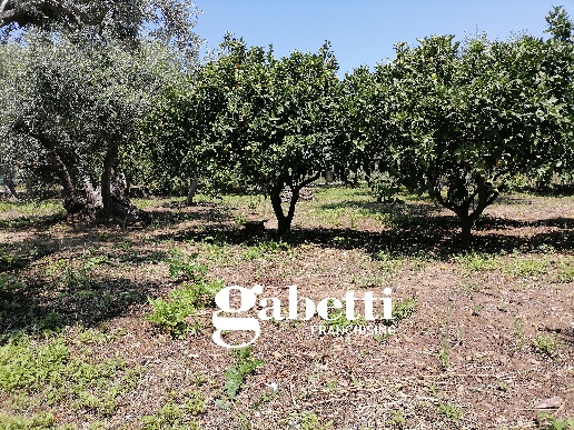 casa indipendente in vendita a Tusa in zona Castel di Tusa