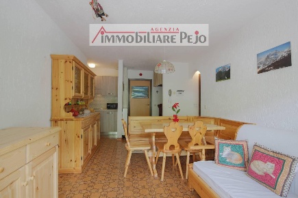 Foto Appartamento in VIA FONTANINO 31, Peio in vendita