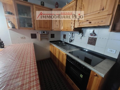 Foto Appartamento in VIA Del Fontanino 25, Peio in vendita