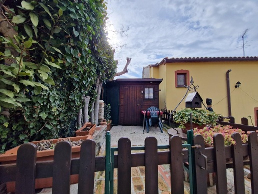 immagine annuncio 4 di 12