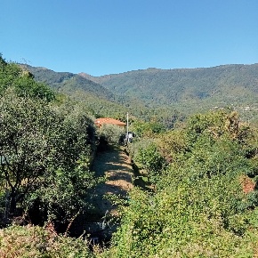 Foto Appartamento a Calice al Cornoviglio di 90 m² con 4 locali in vendita