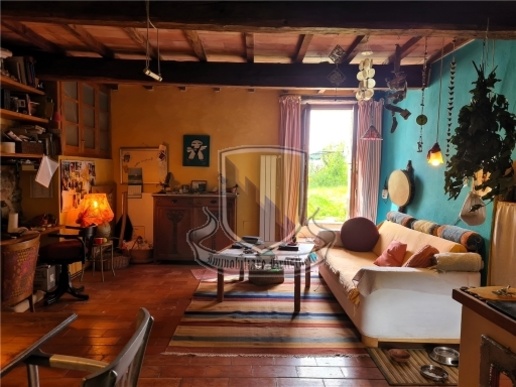 immagine annuncio 2 di 14