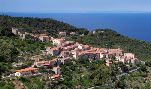 immagine annuncio 6 di 8