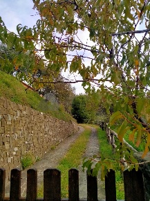 Foto Villa singola in Strada Provinciale 9, Calice al Cornoviglio Valdonica