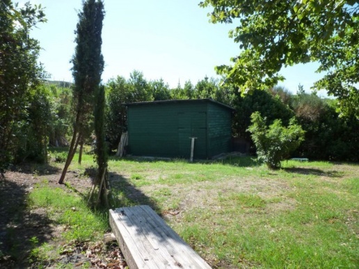 immagine annuncio 10 di 13
