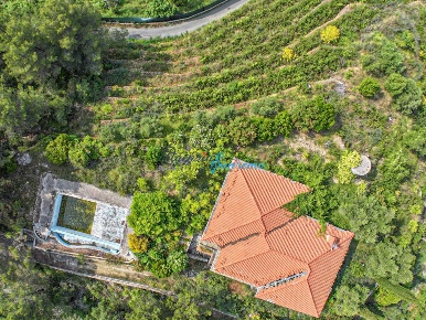 Foto Villa unifamiliare in Via Annunziata SNC, San Biagio della Cima
