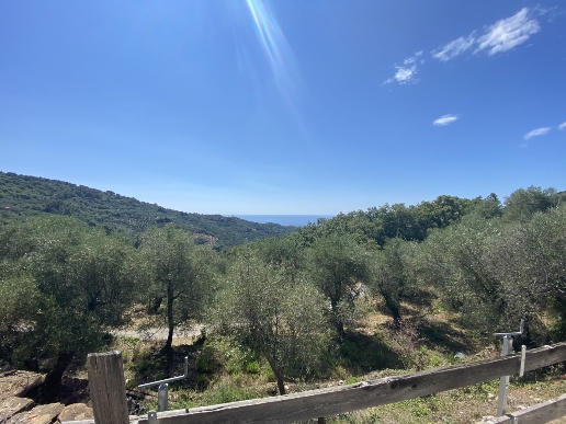 immagine annuncio 5 di 14