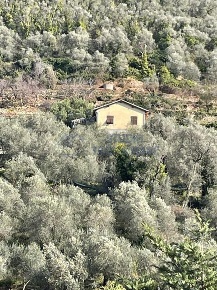 Foto Villa singola in Fraitusa, Badalucco di 120 m² con 4 locali in vendita