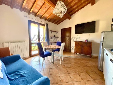 Foto Appartamento in Via Roma, Guardistallo di 50 m² con 2 locali