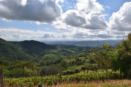 Foto Villa unifamiliare in Regione Roncogennaro, Bistagno di 272 m²