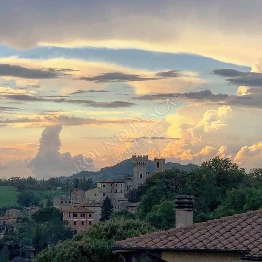immagine annuncio 1 di 14